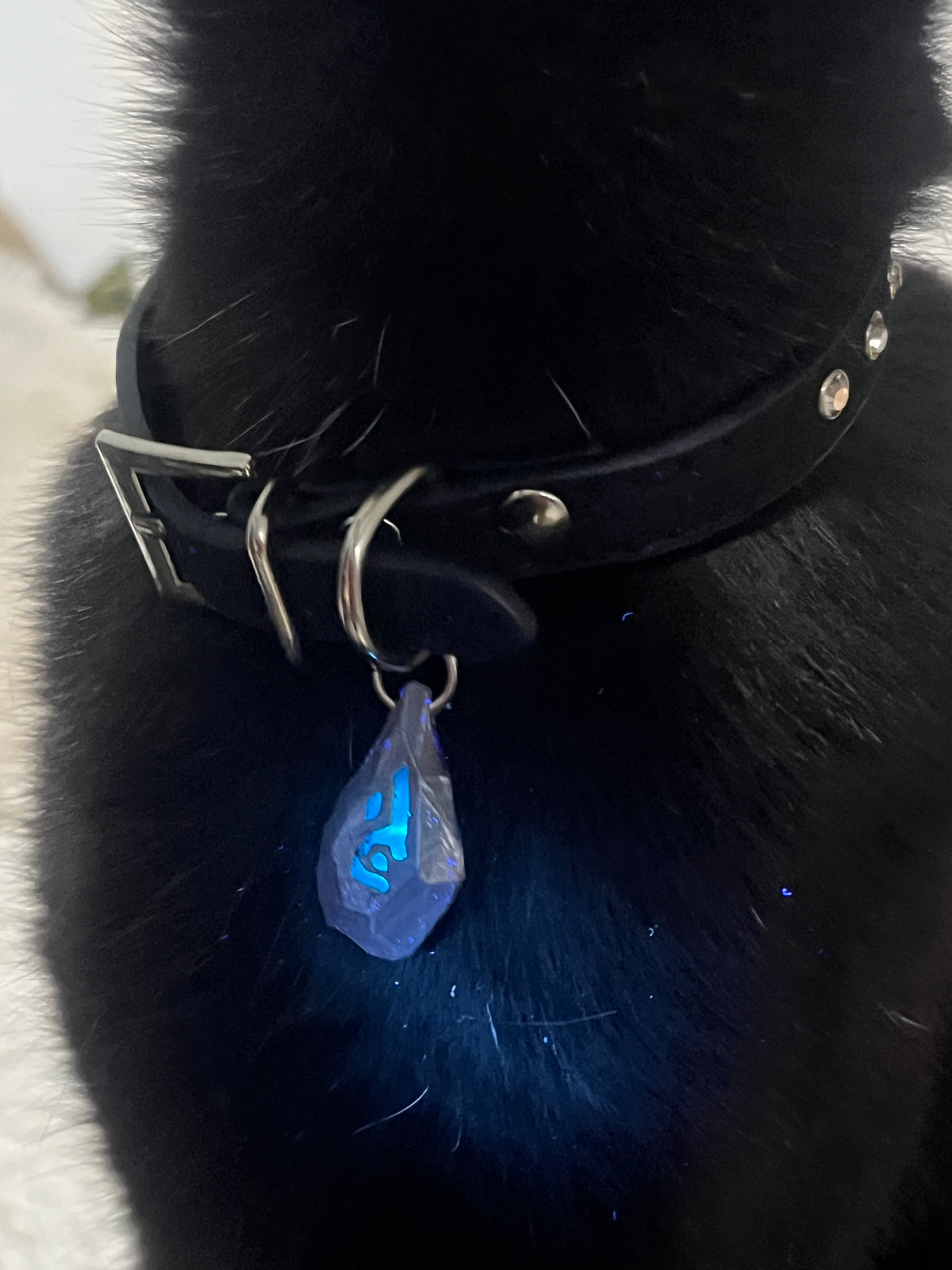 Arcane Ruffled Collar Arcane: Arcane Rune Collar – Hegel laboratory